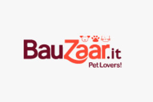 Bauzaar
